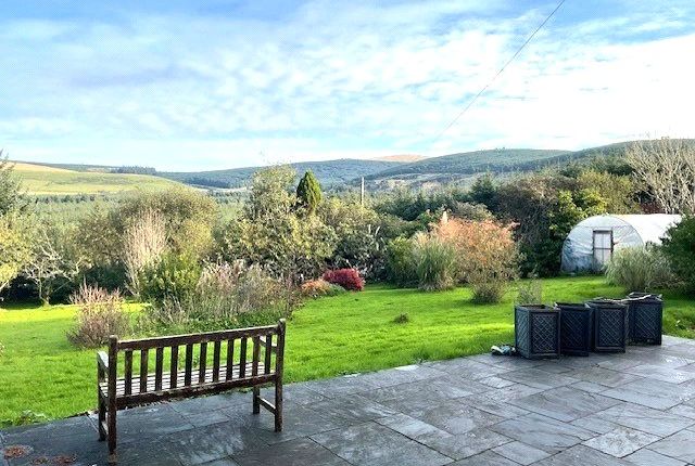 Rosebush, Pembrokeshire photo 2