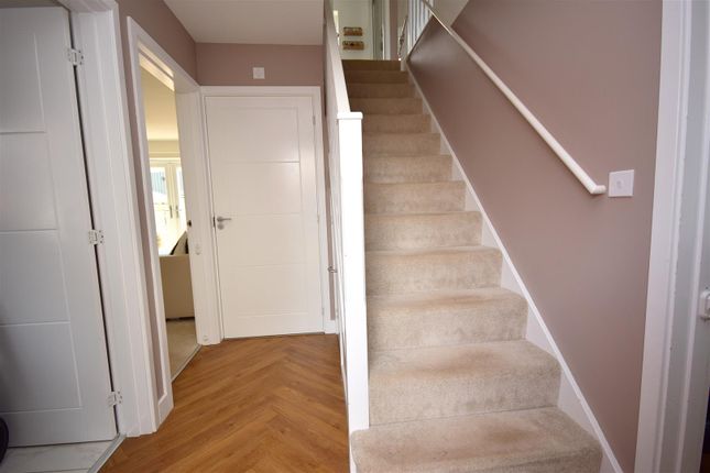 12, Wheat Belt Rise, Exeter photo 4