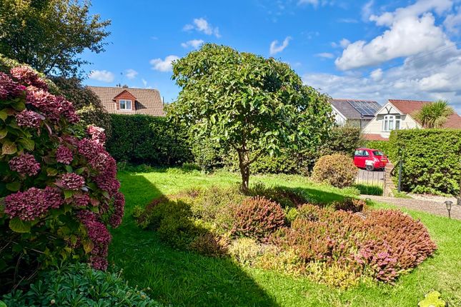1, Hanover Close, Bexhill-on-Sea photo 4