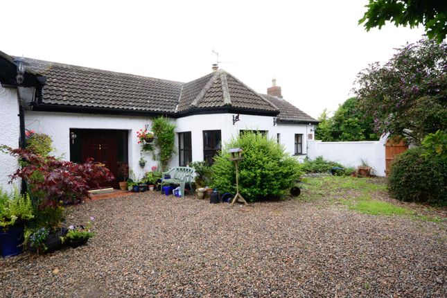 145, Movilla Road, Newtownards photo 2