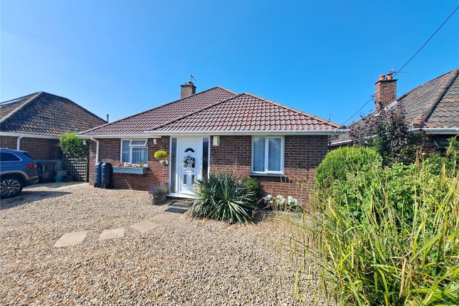 17, New Road, Highbridge photo 4
