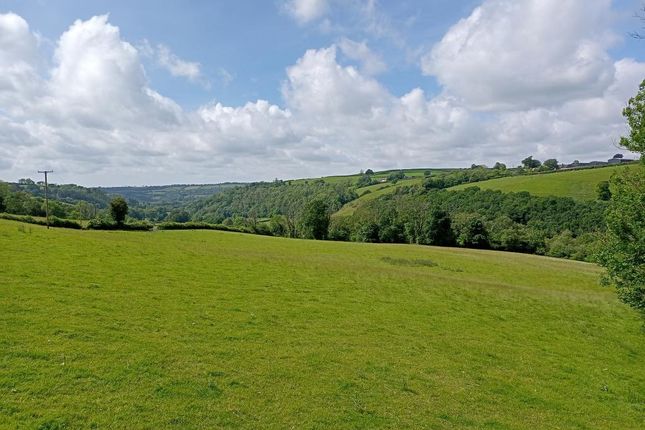 Superb Views