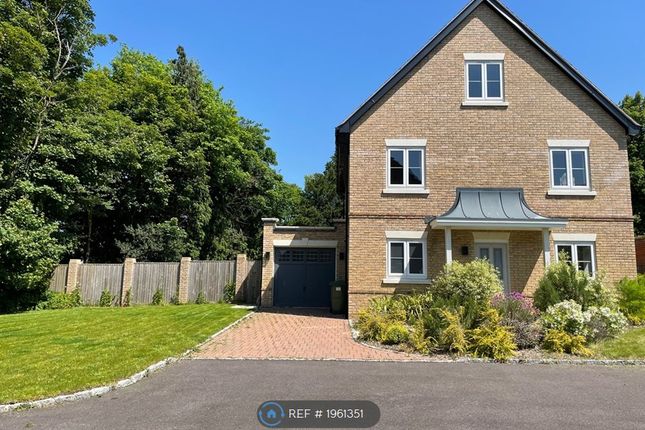 Thumbnail Detached house to rent in Parklands, Besselsleigh, Abingdon