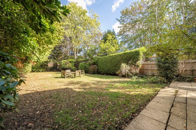 Wych Hill Lane, Woking photo 4