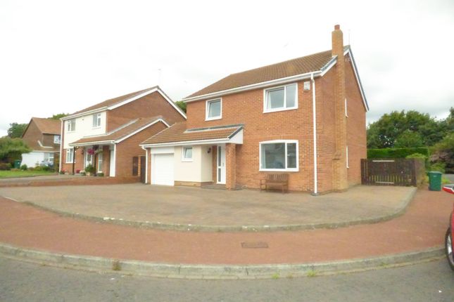 Detached house to rent in Hepscott Drive, Whitley Bay