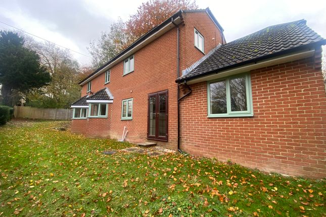 Detached house to rent in Sanders Green, Winterborne Whitechurch
