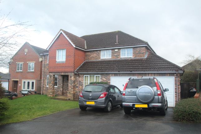 Thumbnail Detached house to rent in Spencers Way, Harrogate, North Yorkshire