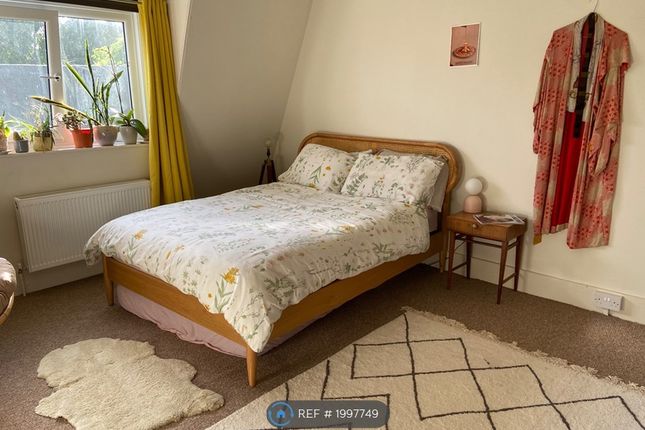 Room to rent in Bohemia Road, St. Leonards-On-Sea