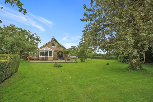 Detached bungalow for sale in Corsley, Warminster