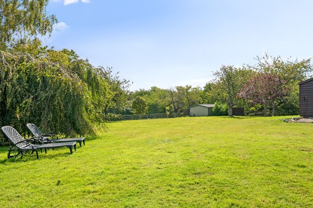 The Old Thatched Cottage,, Cellar Hill, Sittingbourne photo 3