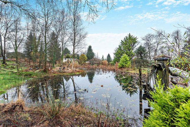 Gardens &amp; Grounds