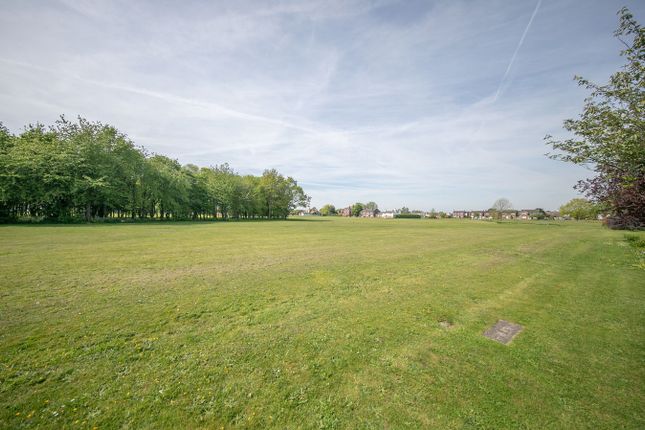 8, Moors Close, Colchester photo 3