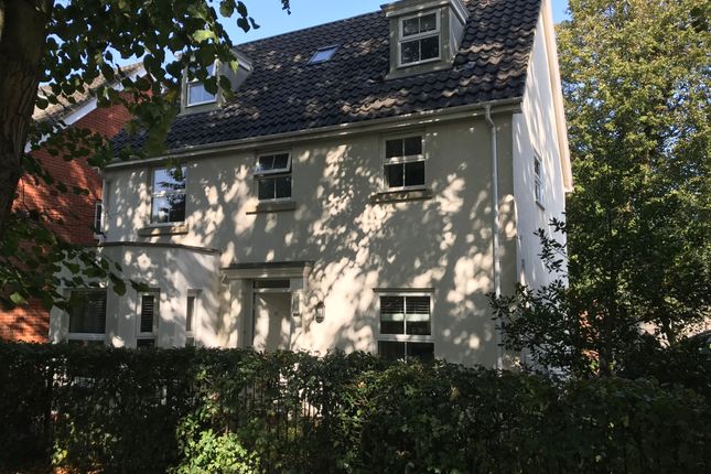 Thumbnail Detached house to rent in Earles Gardens, Norwich