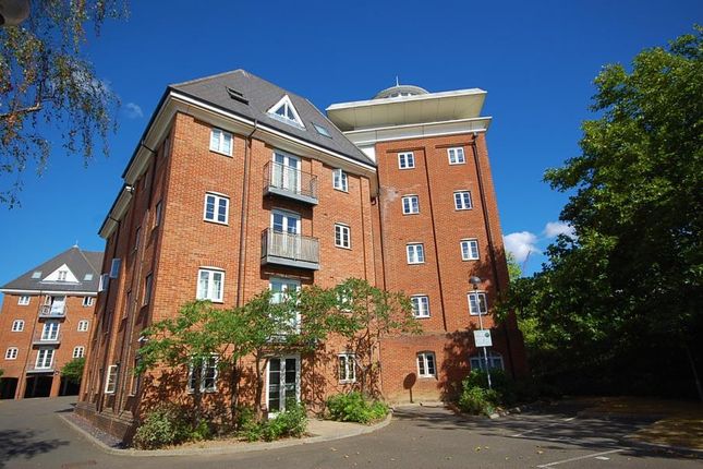 Thumbnail Property to rent in Hardie's Point, Colchester