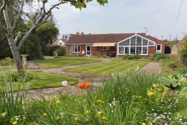 Thumbnail Detached bungalow for sale in Tower Hill, Williton, Taunton