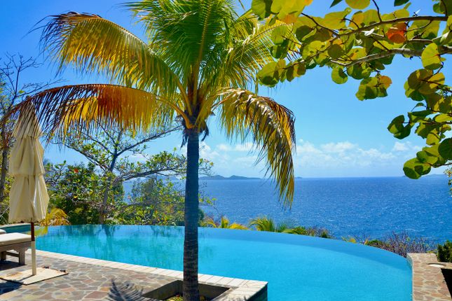 Thumbnail Villa for sale in Lower Bay, St Vincent And The Grenadines