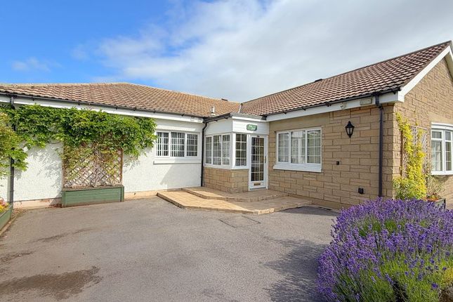 The Firs, 19b Pilmuir Road West, Forres photo 2