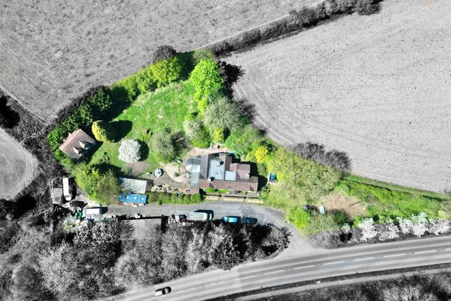 Newbridge Cottage, Newport photo 4