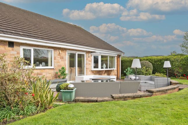Detached bungalow for sale in Whitebank Close, Chesterfield