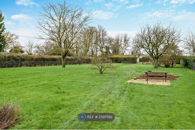 View Of Garden
