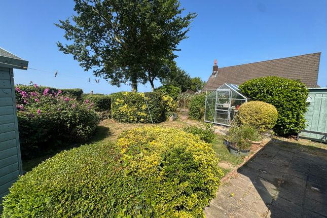 Derwen, 13 Haulfan, Aberaeron photo 2