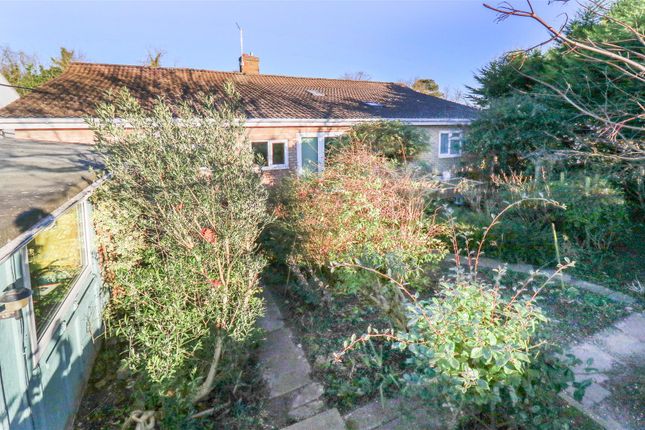 Detached bungalow for sale in Chippenham Road, Fordham, Ely