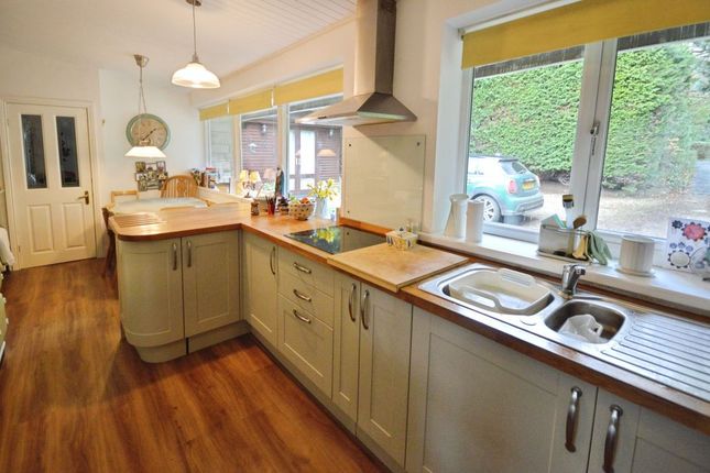 Summerford, Hexham photo 2