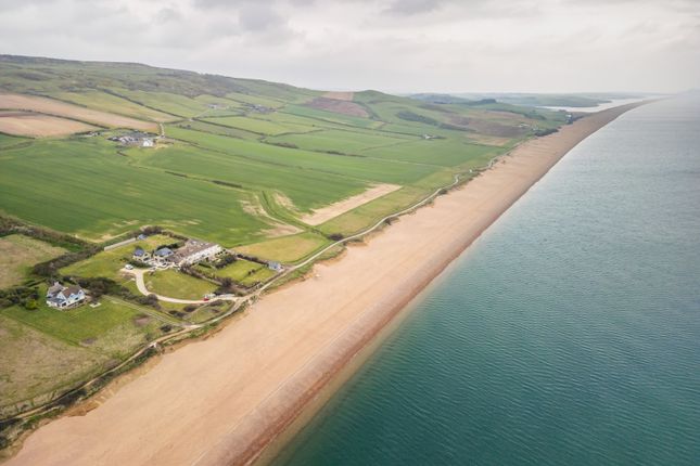 Thumbnail Terraced house for sale in The Old Coastguards, Abbotsbury, Weymouth, Dorset