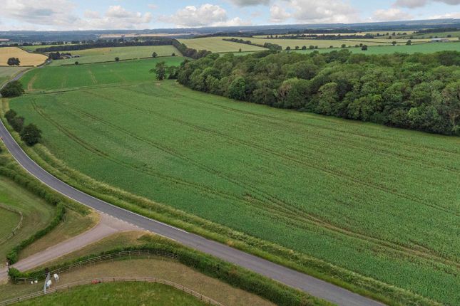 Land for sale in Brinkley Road, Brinkley, Newmarket, Suffolk