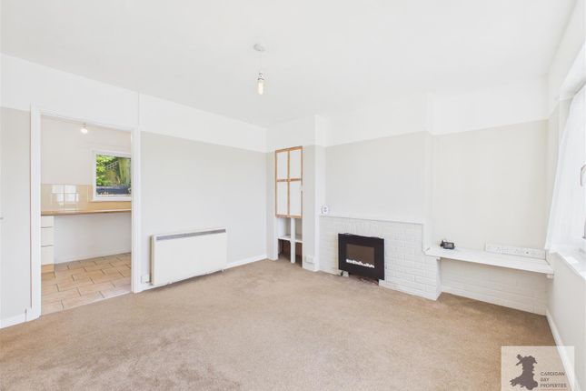 23, Anwylfan, Cardigan photo 3