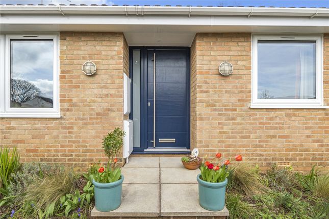 Bungalow for sale in Lower Farthings, Newton Poppleford, Sidmouth, Devon