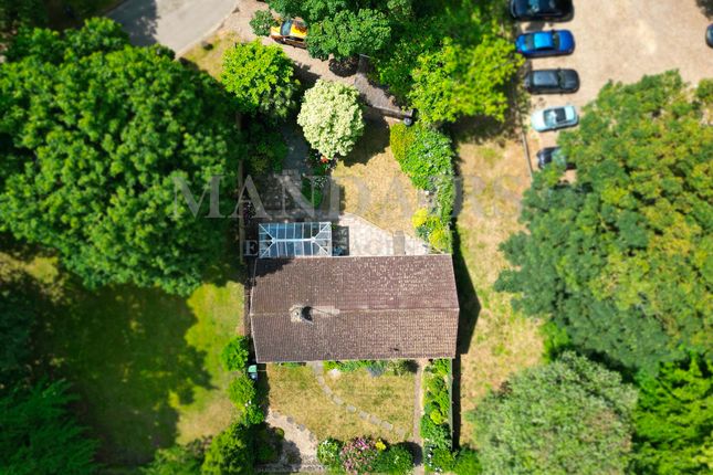 Thumbnail Detached bungalow for sale in The Pines, The Village, Orton Longueville, Peterborough