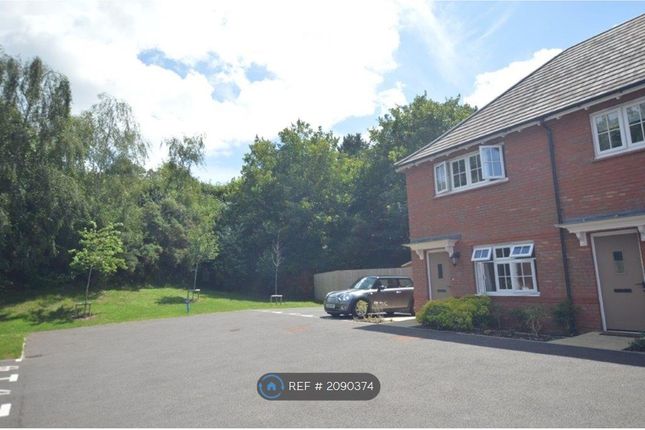 Thumbnail Semi-detached house to rent in Woodland Drive, Sowton, Exeter