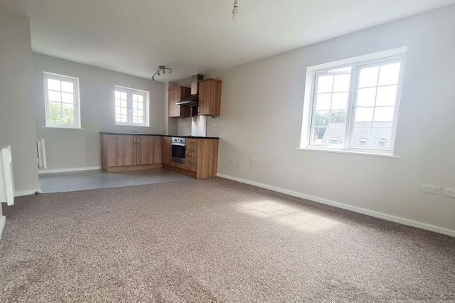 15 Brathey Place, Manchester photo 4