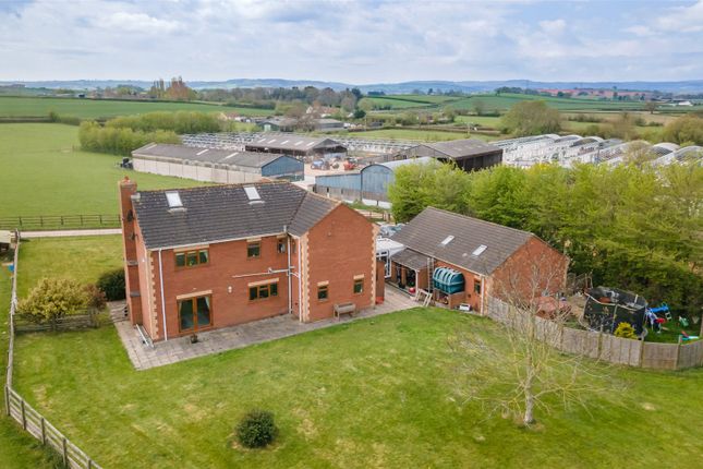 Thumbnail Detached house for sale in Perry Green, Wembdon, Bridgwater, Somerset