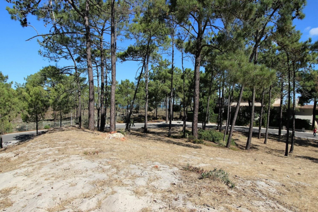 Land for sale in Santa Margarida Da Serra, 7570, Portugal