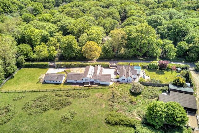 Thumbnail Detached bungalow for sale in Church Road, Loughton, Essex
