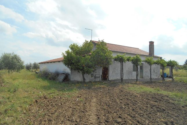 Farm for sale in Ladoeiro, Idanha-A-Nova, Ladoeiro, Idanha-A-Nova, Castelo Branco, Central Portugal