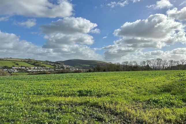 Barnstaple photo 2