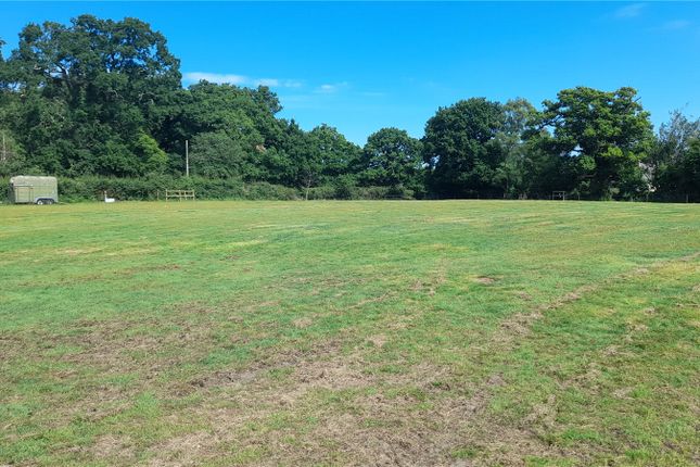 Thumbnail Equestrian property for sale in Thatchers Lane, Norley Wood, Lymington, Hampshire