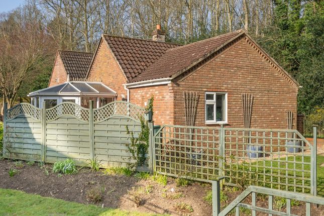 Detached house for sale in Pedham Road, Hemblington, Norwich