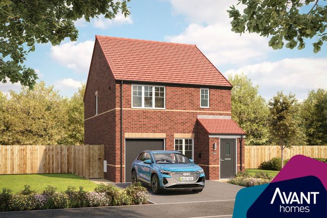 Thumbnail Semi-detached house for sale in "The Oakwood" at Williamthorpe Road, North Wingfield, Chesterfield