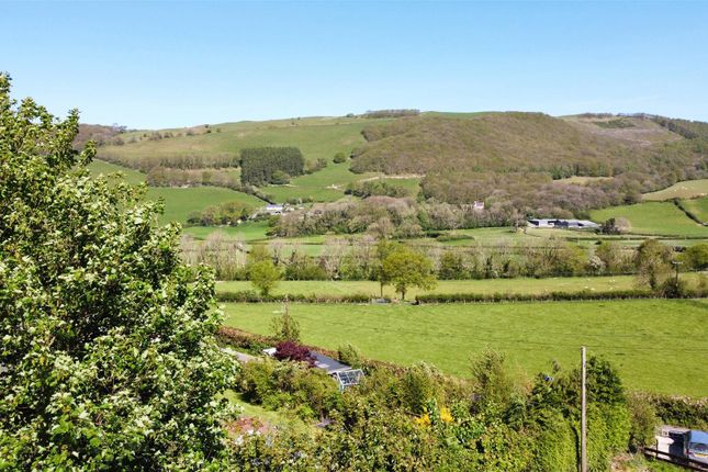 Isycoed, Aberffrwd, Aberystwyth photo 3