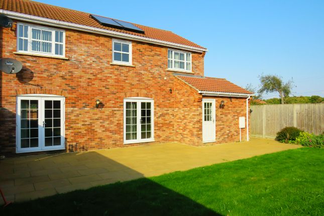 Thumbnail Detached house to rent in Skye Gardens, Feltwell, Thetford