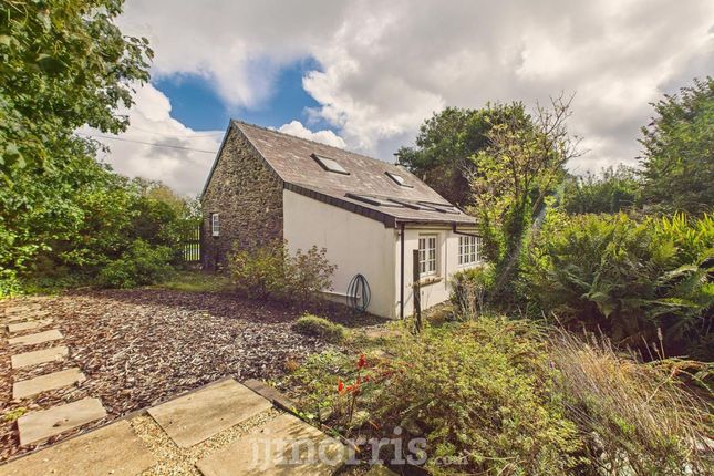The Old Smithy, Fishguard photo 3