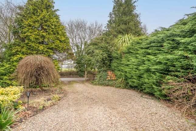 32 Buxton Road, Eastgate, Cawston photo 4
