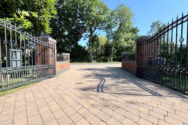 Gate To Exit