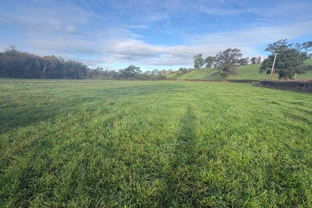 Land Lying to the North of Kings Lodge, Penybanc, Llandeilo photo 3