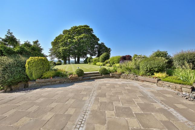 Garden.Jpg