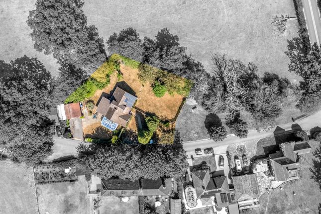 Oakleigh House Bognor Road, Horsham photo 4